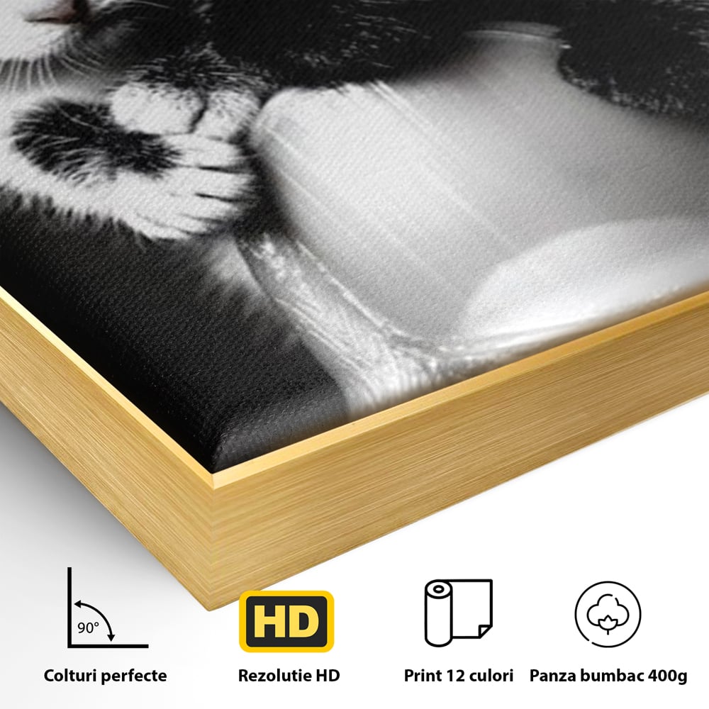 Tablou Canvas Premium, LuxCanva® M1210, Inceput de Viata, Pui, Pisici, Inocenta, Pereche, Feline, Dragalas, Jucaus, Prietenie, Adorabil, Alb si Negru, Copilarie, Birou, Living, Camera Copil
