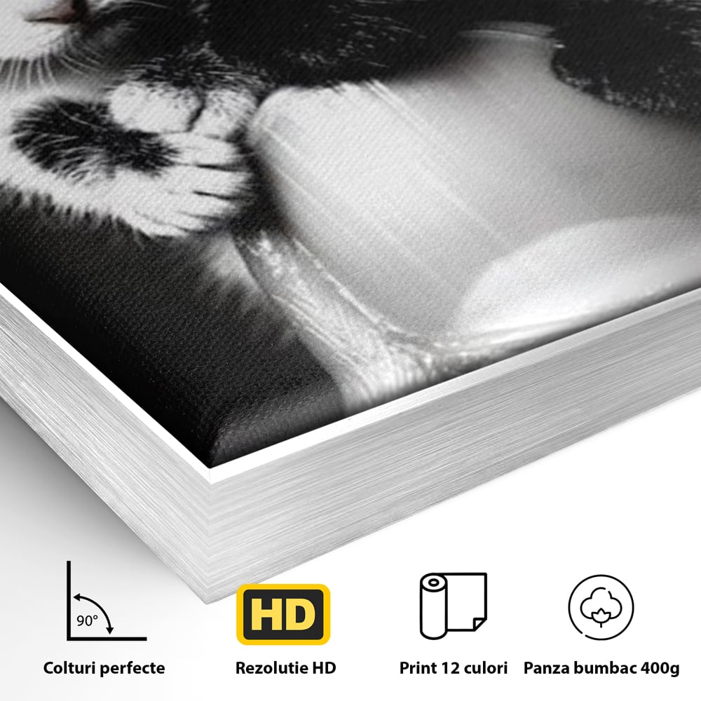 Tablou Canvas Premium, LuxCanva® M1210, Inceput de Viata, Pui, Pisici, Inocenta, Pereche, Feline, Dragalas, Jucaus, Prietenie, Adorabil, Alb si Negru, Copilarie, Birou, Living, Camera Copil