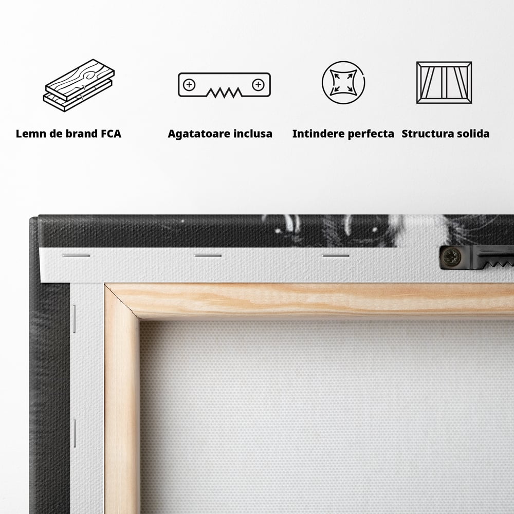 Tablou Canvas Premium, LuxCanva® M1210, Inceput de Viata, Pui, Pisici, Inocenta, Pereche, Feline, Dragalas, Jucaus, Prietenie, Adorabil, Alb si Negru, Copilarie, Birou, Living, Camera Copil