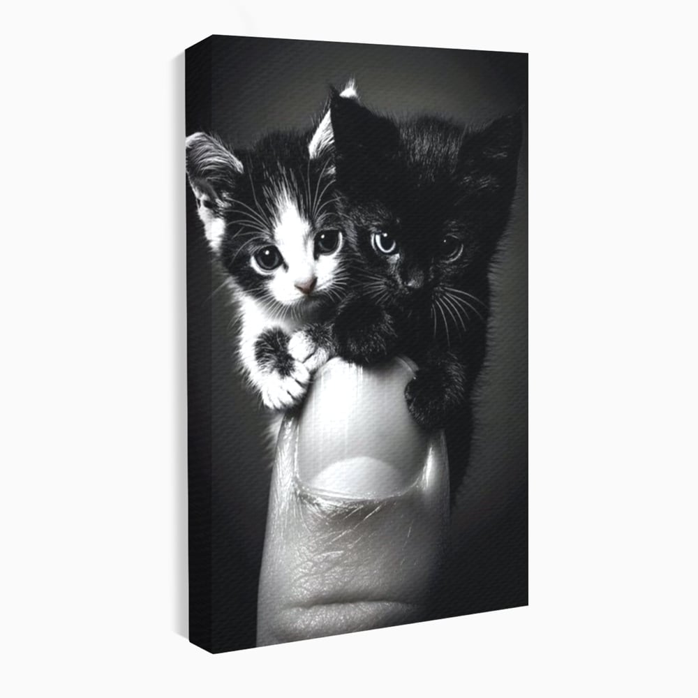 Tablou Canvas Premium, LuxCanva® M1210, Inceput de Viata, Pui, Pisici, Inocenta, Pereche, Feline, Dragalas, Jucaus, Prietenie, Adorabil, Alb si Negru, Copilarie, Birou, Living, Camera Copil