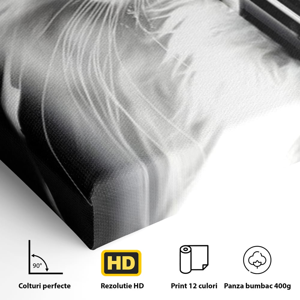 Leinwand Wandkunst Canvas Premium, LuxCanva® M1211, Unter dem Schleier der Nacht, Blick, Katze, versteckt, heimlich, Nacht, pelzig, katzenartig, Regen, Kontrast, Geheimnis, Büro, Wohnen, Wohnzimmer, Babyzimmer