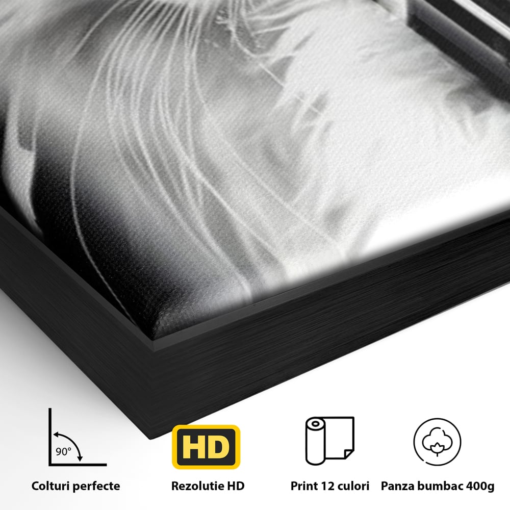 Leinwand Wandkunst Canvas Premium, LuxCanva® M1211, Unter dem Schleier der Nacht, Blick, Katze, versteckt, heimlich, Nacht, pelzig, katzenartig, Regen, Kontrast, Geheimnis, Büro, Wohnen, Wohnzimmer, Babyzimmer