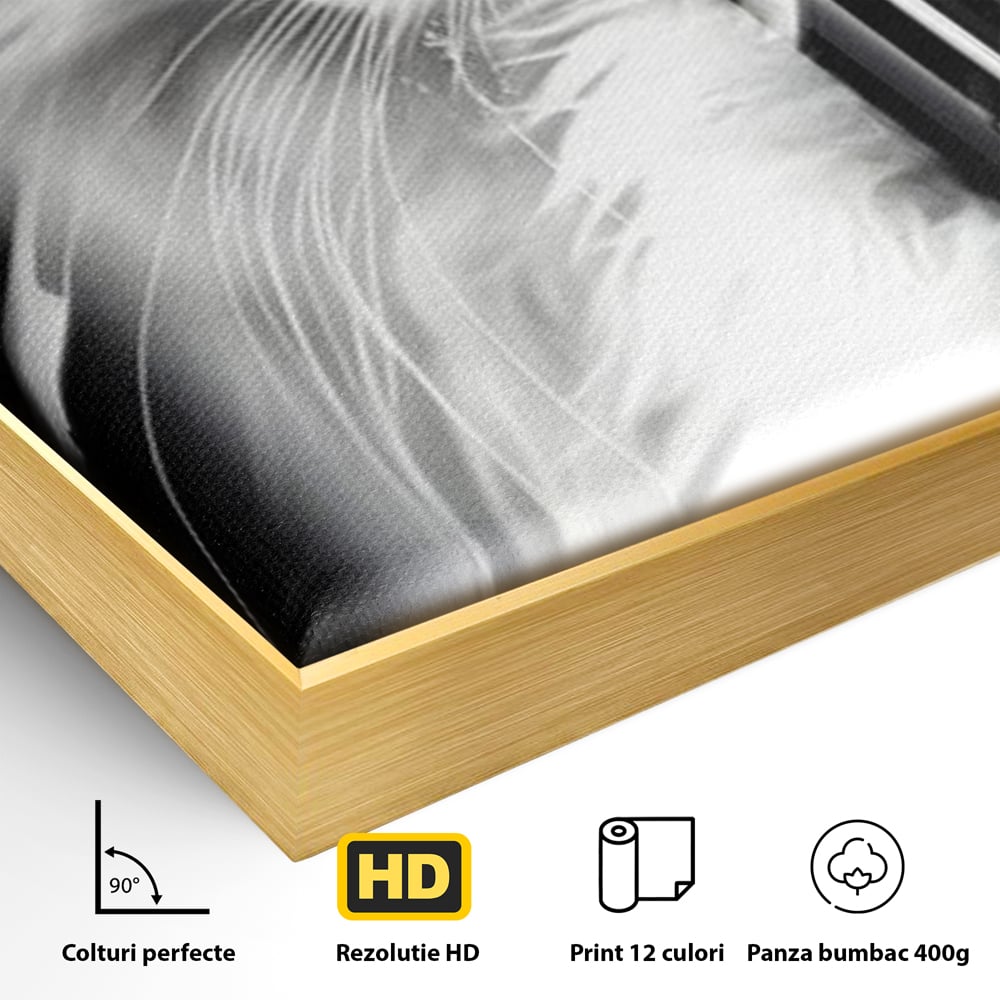 Leinwand Wandkunst Canvas Premium, LuxCanva® M1211, Unter dem Schleier der Nacht, Blick, Katze, versteckt, heimlich, Nacht, pelzig, katzenartig, Regen, Kontrast, Geheimnis, Büro, Wohnen, Wohnzimmer, Babyzimmer