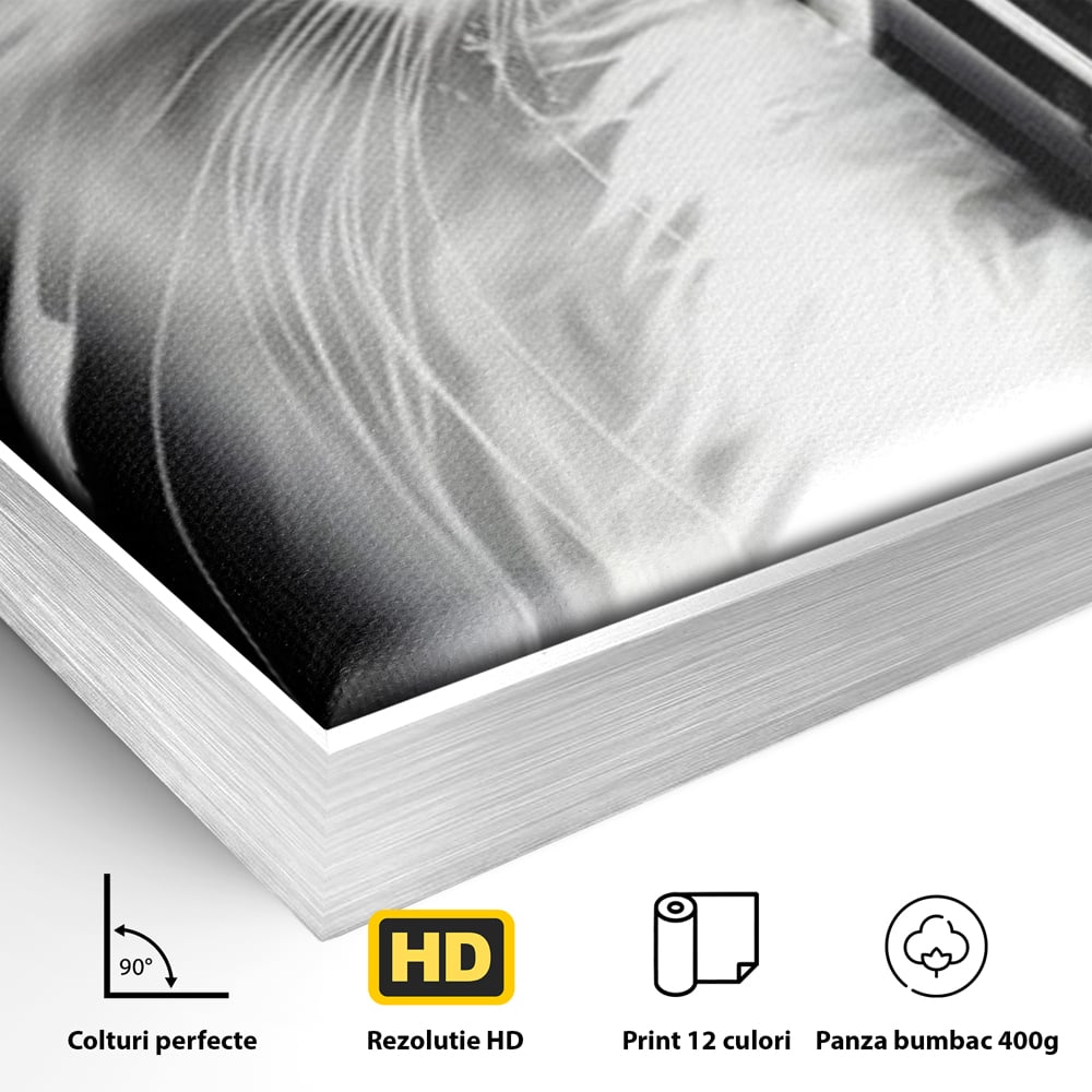 Leinwand Wandkunst Canvas Premium, LuxCanva® M1211, Unter dem Schleier der Nacht, Blick, Katze, versteckt, heimlich, Nacht, pelzig, katzenartig, Regen, Kontrast, Geheimnis, Büro, Wohnen, Wohnzimmer, Babyzimmer