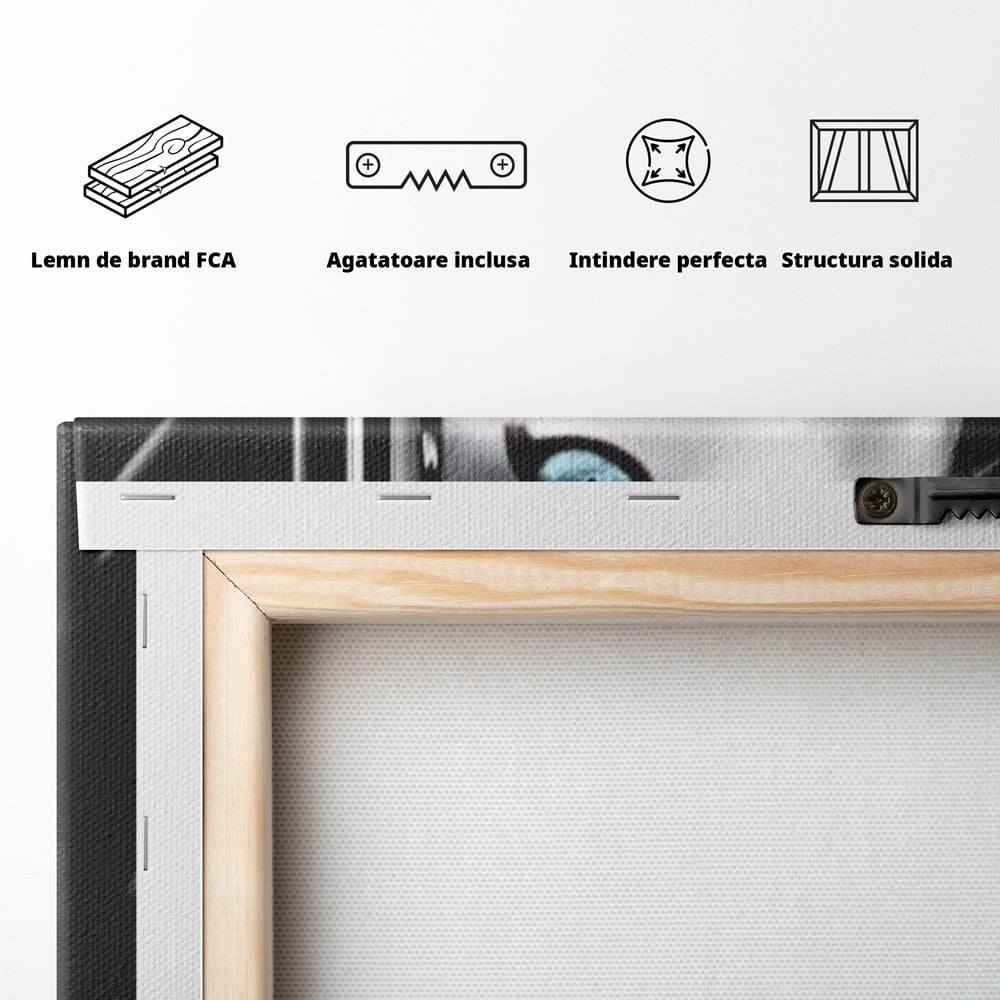Leinwand Wandkunst Canvas Premium, LuxCanva® M1211, Unter dem Schleier der Nacht, Blick, Katze, versteckt, heimlich, Nacht, pelzig, katzenartig, Regen, Kontrast, Geheimnis, Büro, Wohnen, Wohnzimmer, Babyzimmer