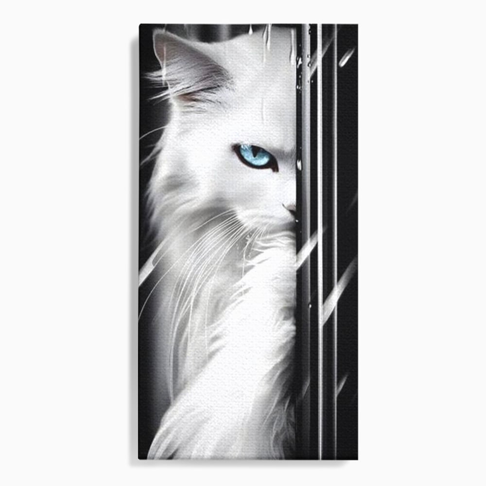 Leinwand Wandkunst Canvas Premium, LuxCanva® M1211, Unter dem Schleier der Nacht, Blick, Katze, versteckt, heimlich, Nacht, pelzig, katzenartig, Regen, Kontrast, Geheimnis, Büro, Wohnen, Wohnzimmer, Babyzimmer