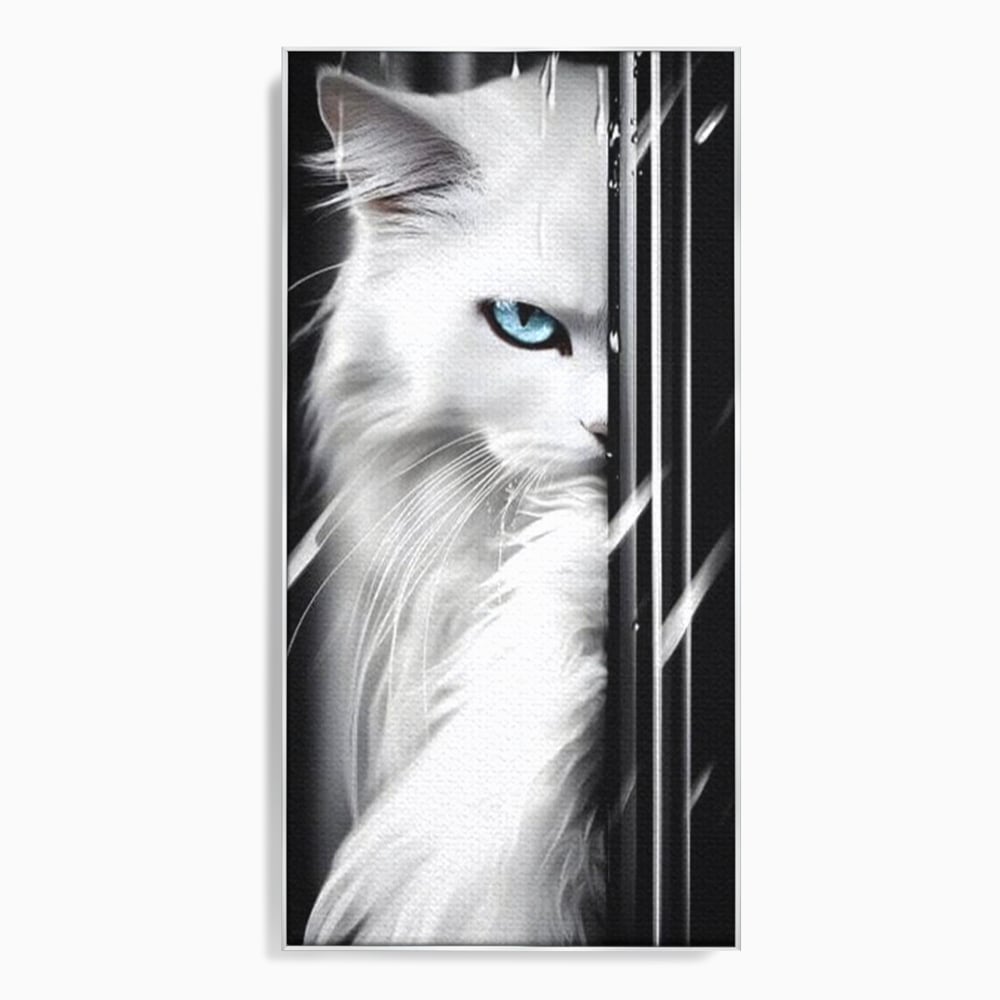 Leinwand Wandkunst Canvas Premium, LuxCanva® M1211, Unter dem Schleier der Nacht, Blick, Katze, versteckt, heimlich, Nacht, pelzig, katzenartig, Regen, Kontrast, Geheimnis, Büro, Wohnen, Wohnzimmer, Babyzimmer