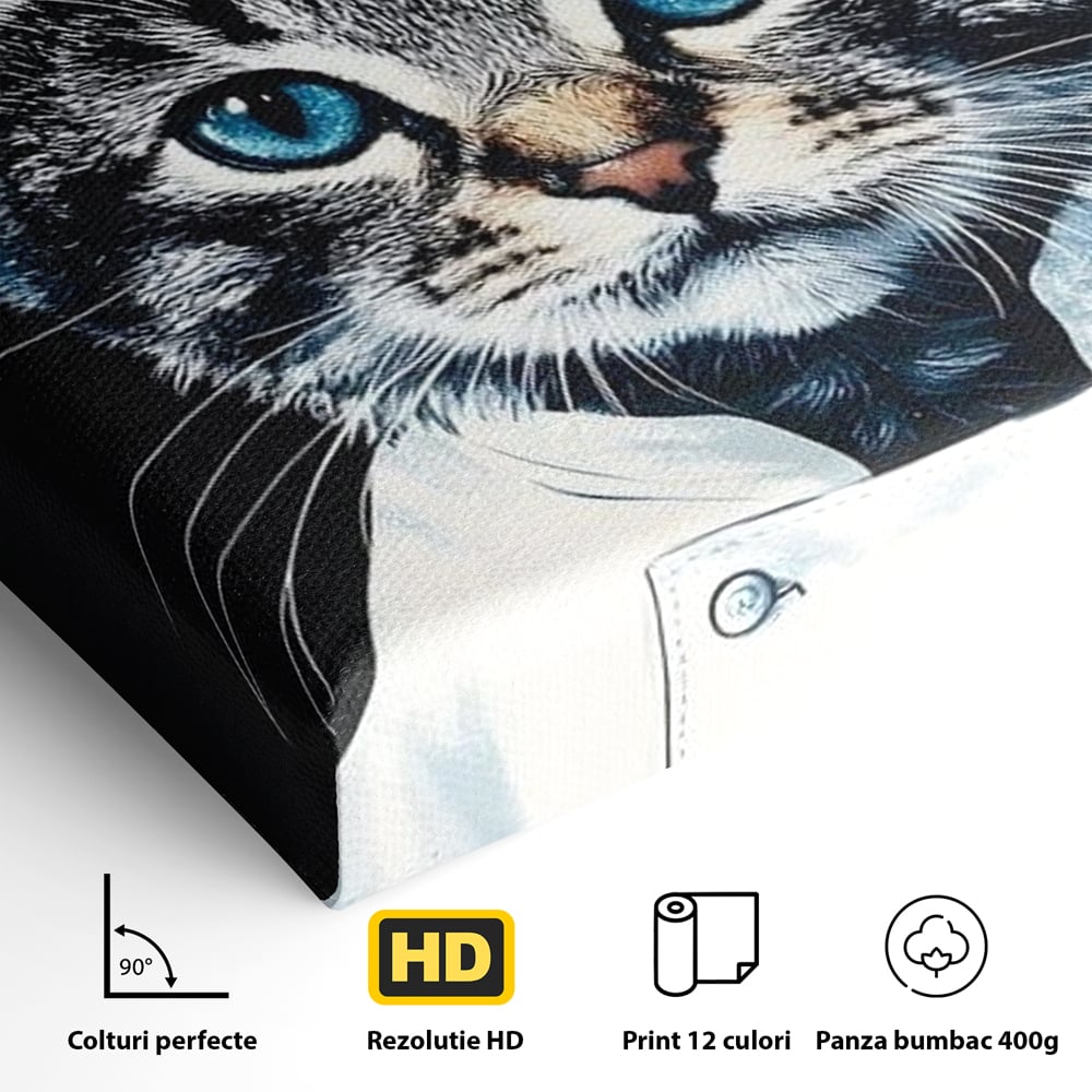 Fotoleinwand Canvas Premium, LuxCanva® M1215, Koch Gheruta, Katze, Küche, Gastronomie, Katze, Koch, Kostüm, Restaurant, liebenswert, fröhlich, heiter, flauschig, Büro, Wohnen, Wohnzimmer, Babyzimmer
