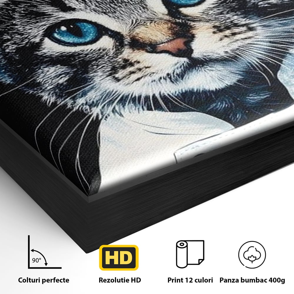 Fotoleinwand Canvas Premium, LuxCanva® M1215, Koch Gheruta, Katze, Küche, Gastronomie, Katze, Koch, Kostüm, Restaurant, liebenswert, fröhlich, heiter, flauschig, Büro, Wohnen, Wohnzimmer, Babyzimmer