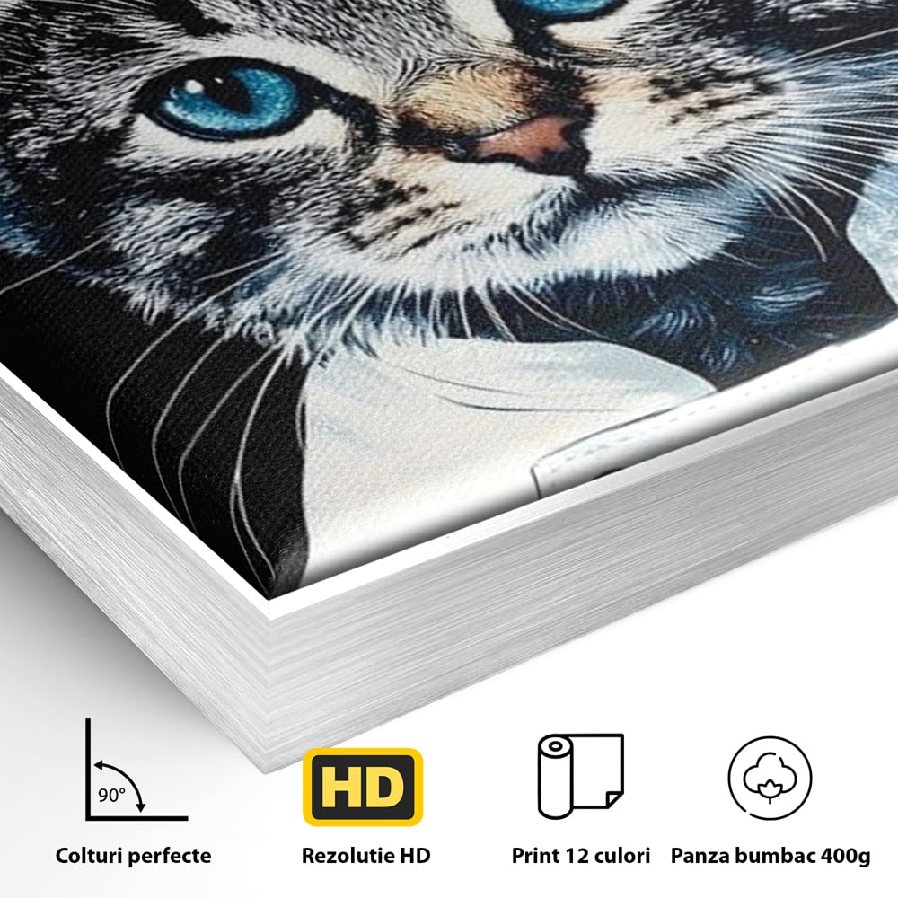 Fotoleinwand Canvas Premium, LuxCanva® M1215, Koch Gheruta, Katze, Küche, Gastronomie, Katze, Koch, Kostüm, Restaurant, liebenswert, fröhlich, heiter, flauschig, Büro, Wohnen, Wohnzimmer, Babyzimmer