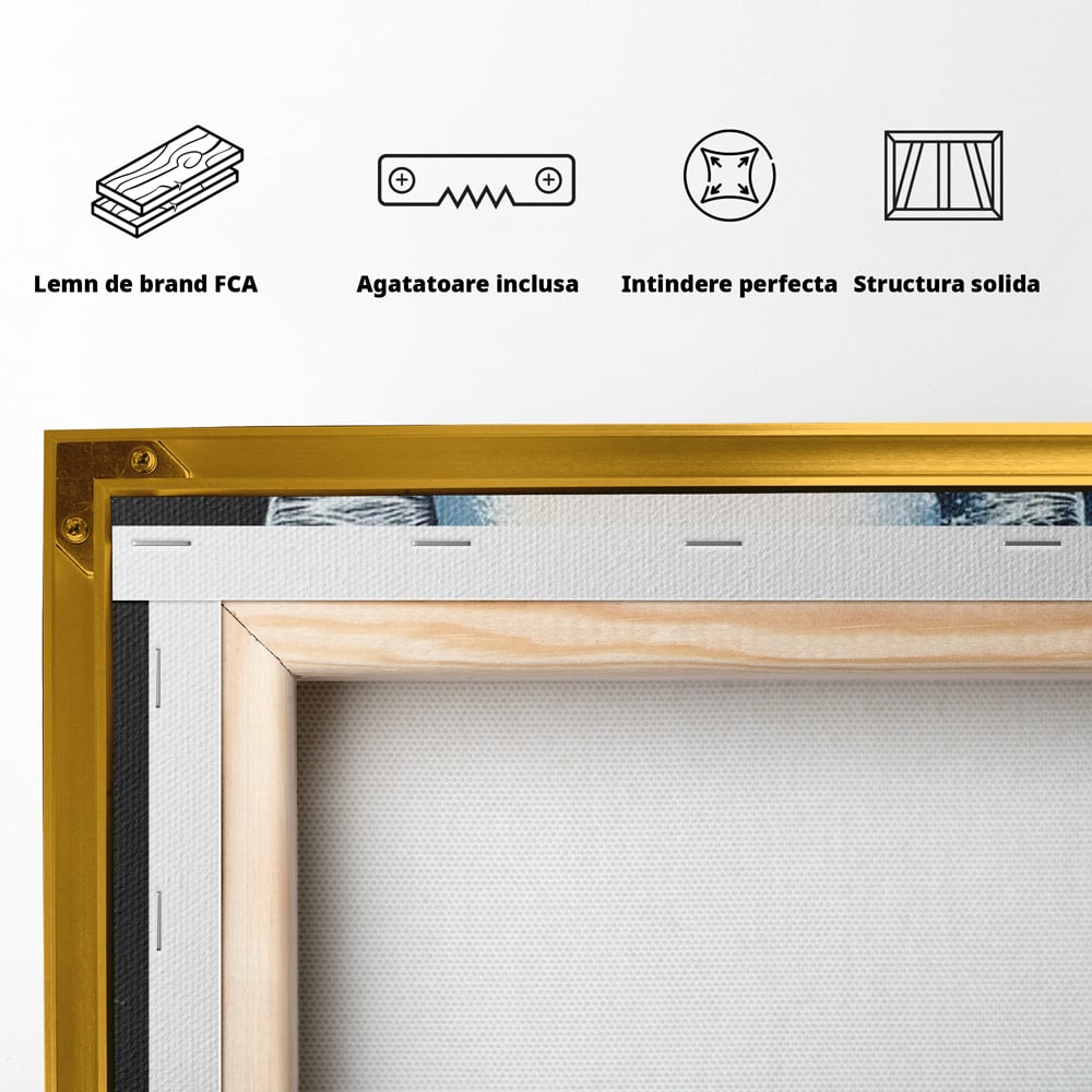 Fotoleinwand Canvas Premium, LuxCanva® M1215, Koch Gheruta, Katze, Küche, Gastronomie, Katze, Koch, Kostüm, Restaurant, liebenswert, fröhlich, heiter, flauschig, Büro, Wohnen, Wohnzimmer, Babyzimmer