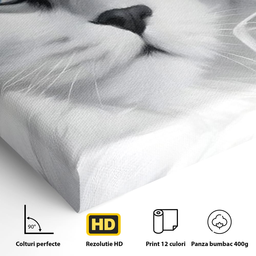 Leinwand Wandkunst Canvas Premium, LuxCanva® M1216, Feline Gräfin, Feline, Elegant, Glas, Champagner, Luxus, Party, Party, Hüte, Katze, Katze, Raffinesse, Feminin, Stil, Büro, Wohnen, Kinderzimmer