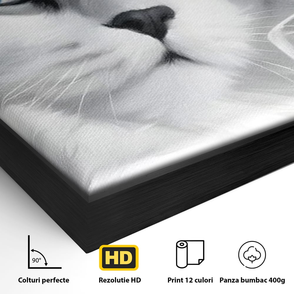 Leinwand Wandkunst Canvas Premium, LuxCanva® M1216, Feline Gräfin, Feline, Elegant, Glas, Champagner, Luxus, Party, Party, Hüte, Katze, Katze, Raffinesse, Feminin, Stil, Büro, Wohnen, Kinderzimmer