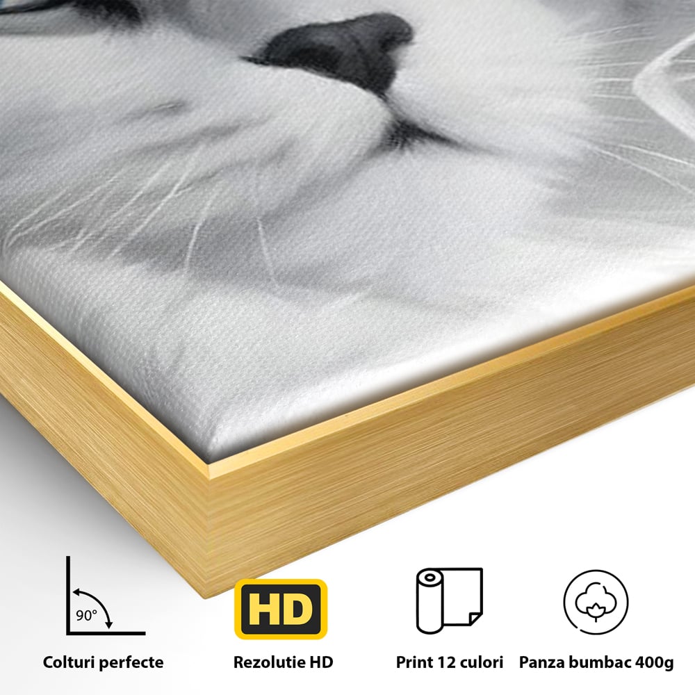 Leinwand Wandkunst Canvas Premium, LuxCanva® M1216, Feline Gräfin, Feline, Elegant, Glas, Champagner, Luxus, Party, Party, Hüte, Katze, Katze, Raffinesse, Feminin, Stil, Büro, Wohnen, Kinderzimmer