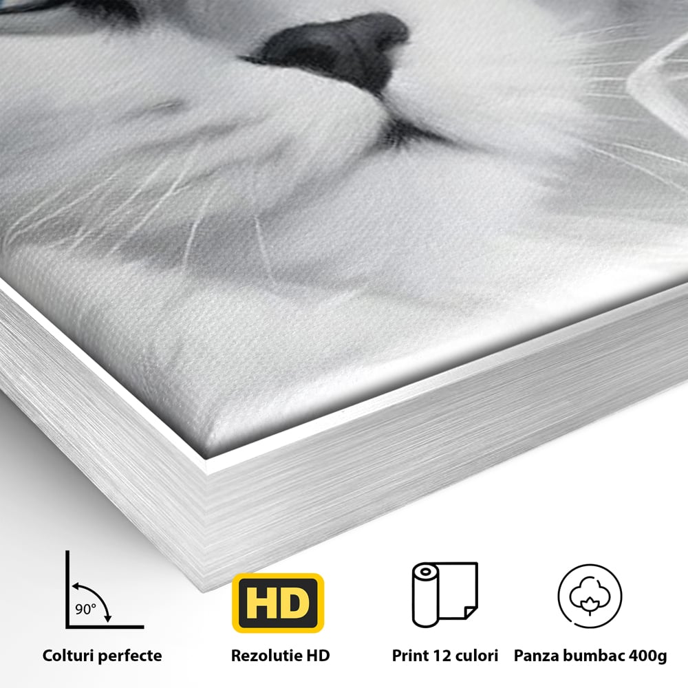 Leinwand Wandkunst Canvas Premium, LuxCanva® M1216, Feline Gräfin, Feline, Elegant, Glas, Champagner, Luxus, Party, Party, Hüte, Katze, Katze, Raffinesse, Feminin, Stil, Büro, Wohnen, Kinderzimmer