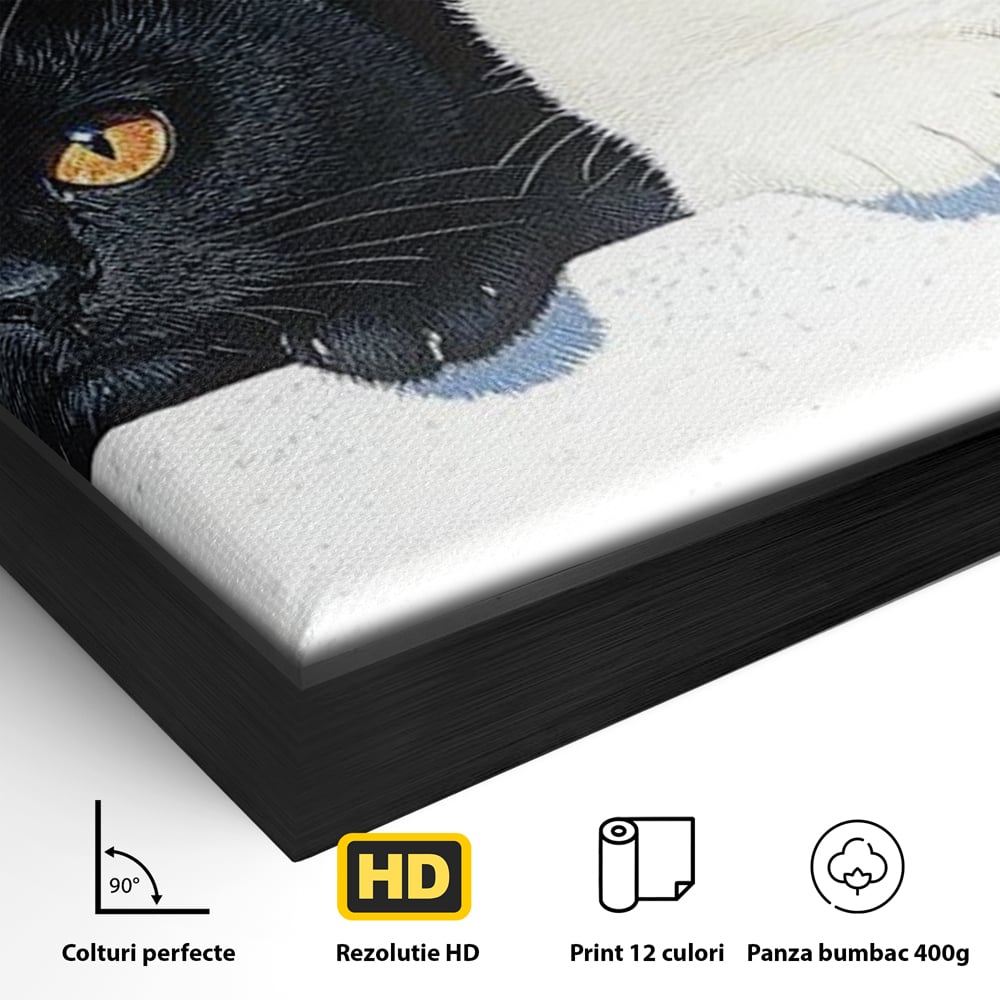 Tablou Canvas Premium, LuxCanva® M1221, Paznicii Canapelei, Pisici, Alb si Negru, Dualitate, Pereche, Blanosi, Impreuna, Adorabil, Jucaus, Armonie, Feline, Birou, Living, Camera Copil