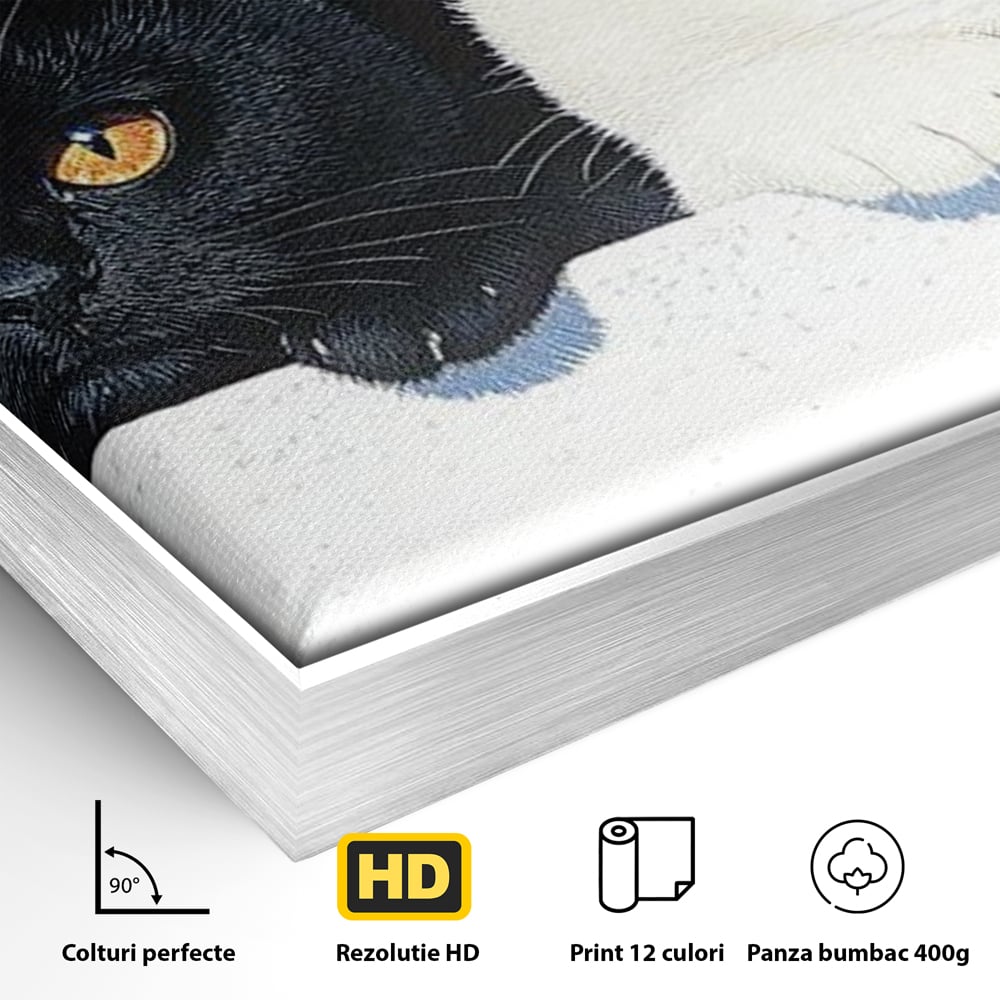 Tablou Canvas Premium, LuxCanva® M1221, Paznicii Canapelei, Pisici, Alb si Negru, Dualitate, Pereche, Blanosi, Impreuna, Adorabil, Jucaus, Armonie, Feline, Birou, Living, Camera Copil