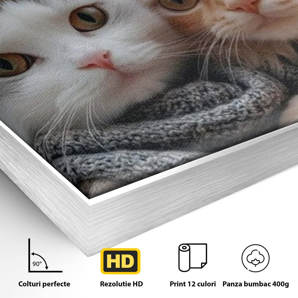 Tablou Canvas Premium, LuxCanva® M1226, Vacanta in Paris, Turnul Eiffel, Calatorie, Vacanta, Bereta, Pisici, Cuplu, Pereche, Romantic, Blanita, Iubire, Birou, Living, Camera Copil