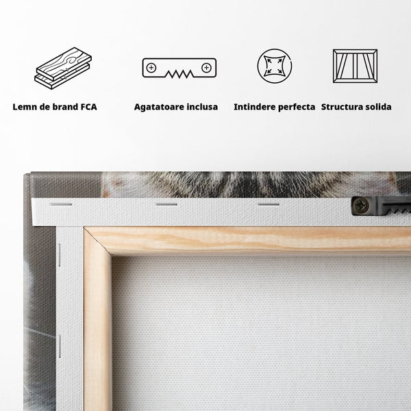 Tablou Canvas Premium, LuxCanva® M1227, Regele Smarald, Motan, Blanita, Coroana, Rege, Bijuterie, Diamante, Regat, Smarald, Nobil, Pufos, Portret, Birou, Living, Camera Copil