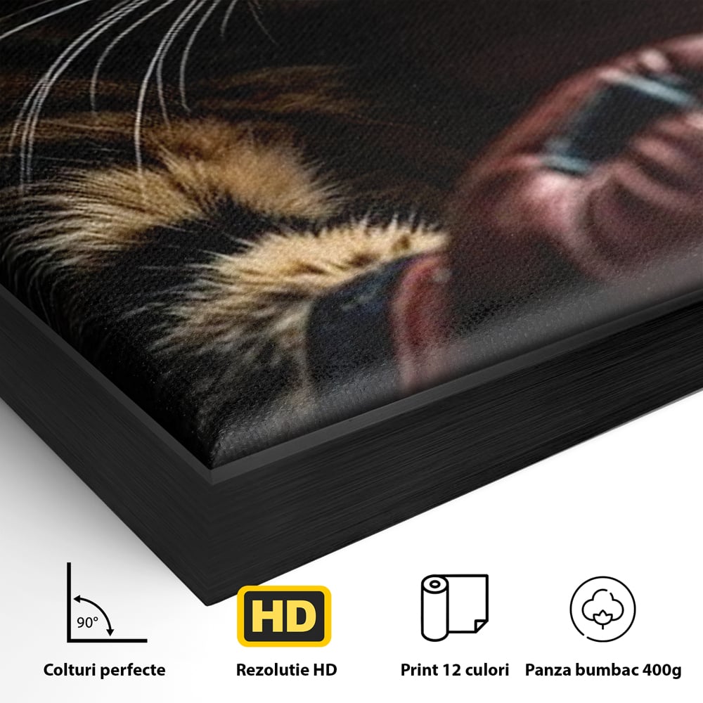 Tablou Canvas Premium, LuxCanva® M1228, Campion cu Blanita, Box, Campion, Manusi, Luptator, Motan, Duel, Victorie, Spirit, Motivational, Curaj, Birou, Living, Camera Copil