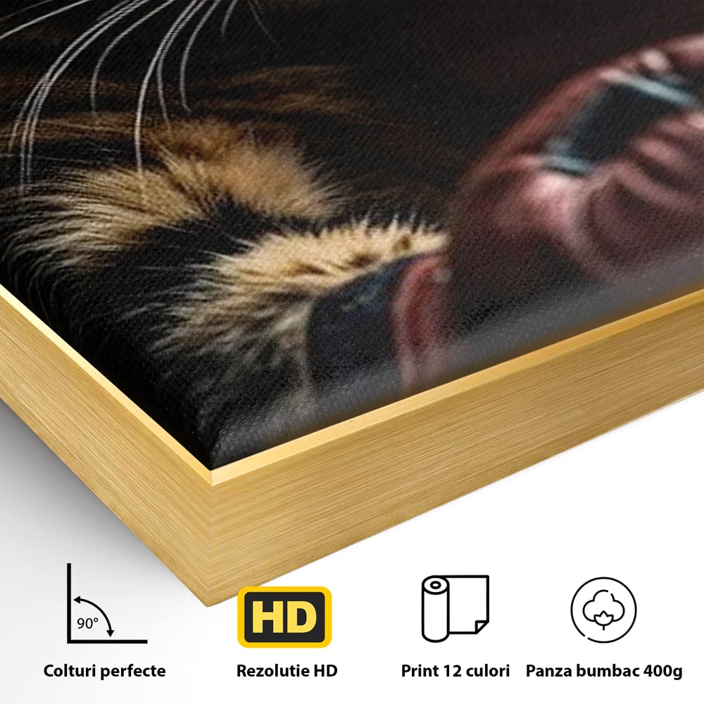 Tablou Canvas Premium, LuxCanva® M1228, Campion cu Blanita, Box, Campion, Manusi, Luptator, Motan, Duel, Victorie, Spirit, Motivational, Curaj, Birou, Living, Camera Copil