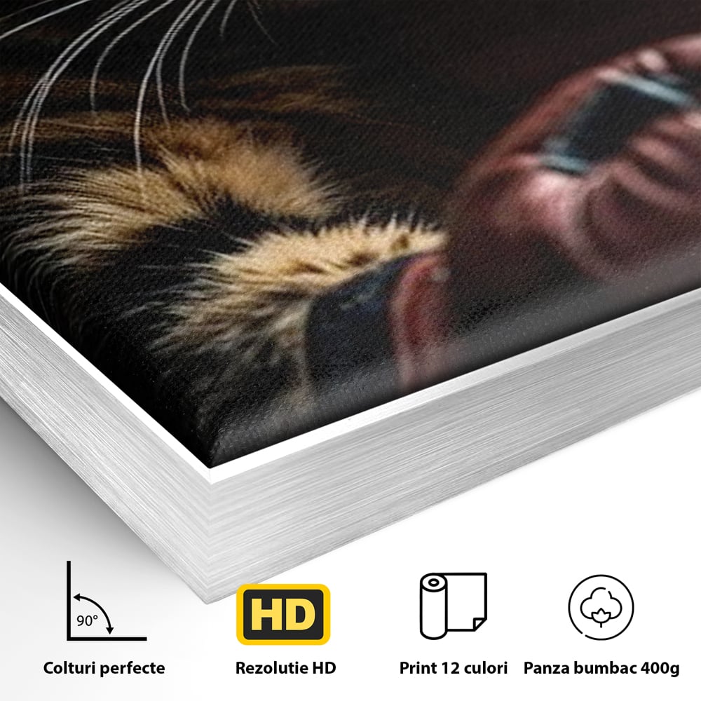 Tablou Canvas Premium, LuxCanva® M1228, Campion cu Blanita, Box, Campion, Manusi, Luptator, Motan, Duel, Victorie, Spirit, Motivational, Curaj, Birou, Living, Camera Copil