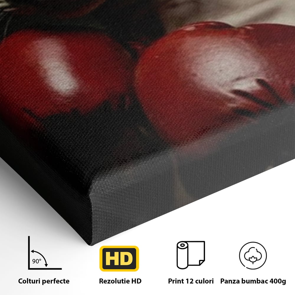 Leinwand Wandbild Canvas Premium, LuxCanva® M1229, Sphynx Kick, Katze, Sphynx, Muschi, kraftvoll, Schnurrbart, motiviert, Boxen, Champion, Handschuhe, Sport, Energie, Büro, Wohnen, Kinderzimmer