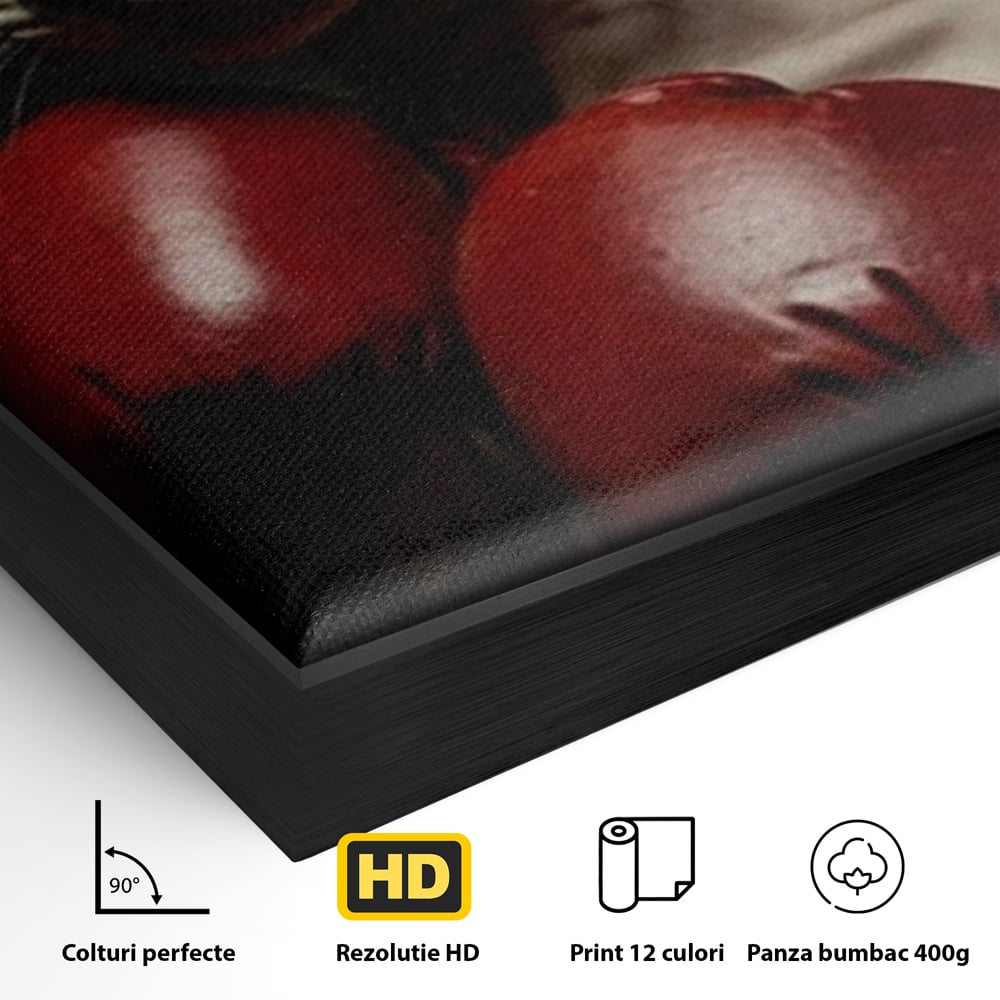 Leinwand Wandbild Canvas Premium, LuxCanva® M1229, Sphynx Kick, Katze, Sphynx, Muschi, kraftvoll, Schnurrbart, motiviert, Boxen, Champion, Handschuhe, Sport, Energie, Büro, Wohnen, Kinderzimmer