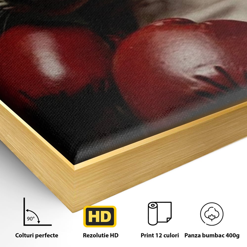 Leinwand Wandbild Canvas Premium, LuxCanva® M1229, Sphynx Kick, Katze, Sphynx, Muschi, kraftvoll, Schnurrbart, motiviert, Boxen, Champion, Handschuhe, Sport, Energie, Büro, Wohnen, Kinderzimmer