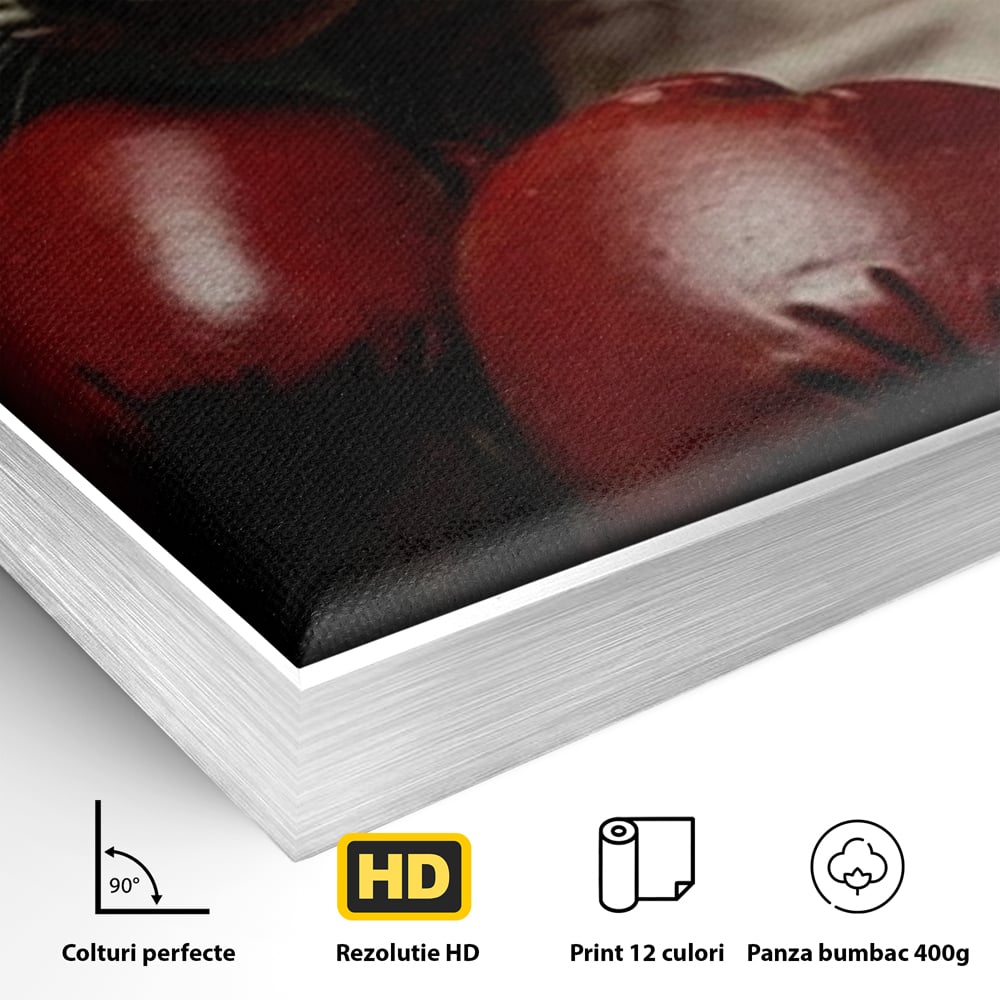 Leinwand Wandbild Canvas Premium, LuxCanva® M1229, Sphynx Kick, Katze, Sphynx, Muschi, kraftvoll, Schnurrbart, motiviert, Boxen, Champion, Handschuhe, Sport, Energie, Büro, Wohnen, Kinderzimmer