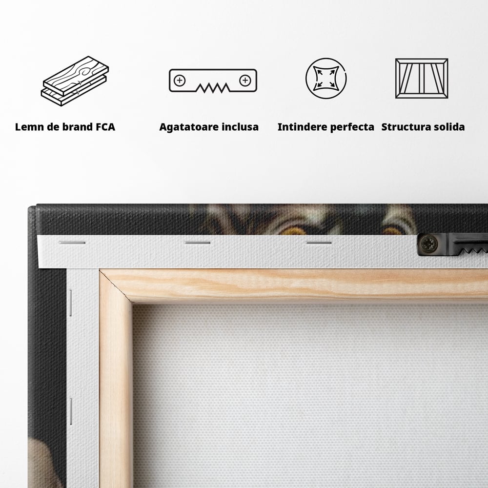 Leinwand Wandbild Canvas Premium, LuxCanva® M1229, Sphynx Kick, Katze, Sphynx, Muschi, kraftvoll, Schnurrbart, motiviert, Boxen, Champion, Handschuhe, Sport, Energie, Büro, Wohnen, Kinderzimmer