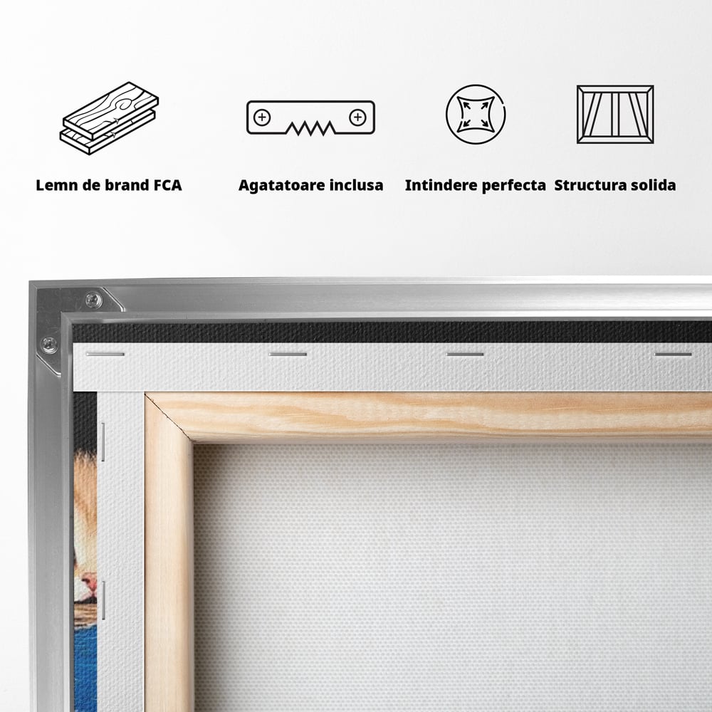 Tablou Canvas Premium, LuxCanva® M1234, Un Trio Curios, Pufosenii, Adorabil, Pisici, Curiozitate, Fratiori, Joaca, Copilarie, Blanosi, Lemn, Albastru, Birou, Living, Camera Copil