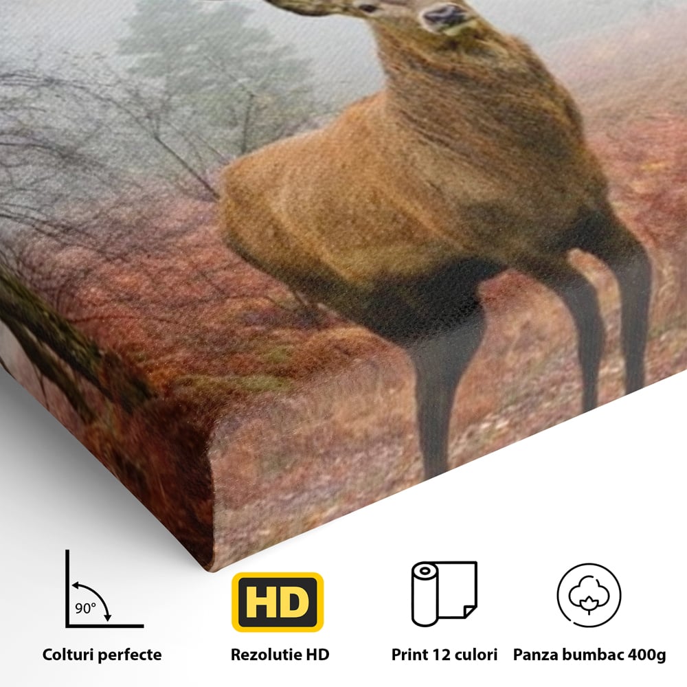 Tablou Canvas Premium, LuxCanva® M1242, Regele Codrilor, Cerb, Animale, Natura, Coarne, Mamifer, Fauna, Salbatic, Padure, Vegetatie, Habitat, Birou, Living, Camera Copil