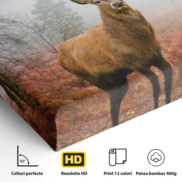 Tablou Canvas Premium, LuxCanva® M1242, Regele Codrilor, Cerb, Animale, Natura, Coarne, Mamifer, Fauna, Salbatic, Padure, Vegetatie, Habitat, Birou, Living, Camera Copil
