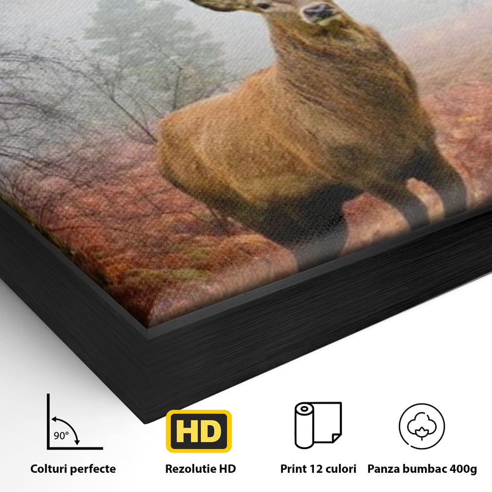 Tablou Canvas Premium, LuxCanva® M1242, Regele Codrilor, Cerb, Animale, Natura, Coarne, Mamifer, Fauna, Salbatic, Padure, Vegetatie, Habitat, Birou, Living, Camera Copil