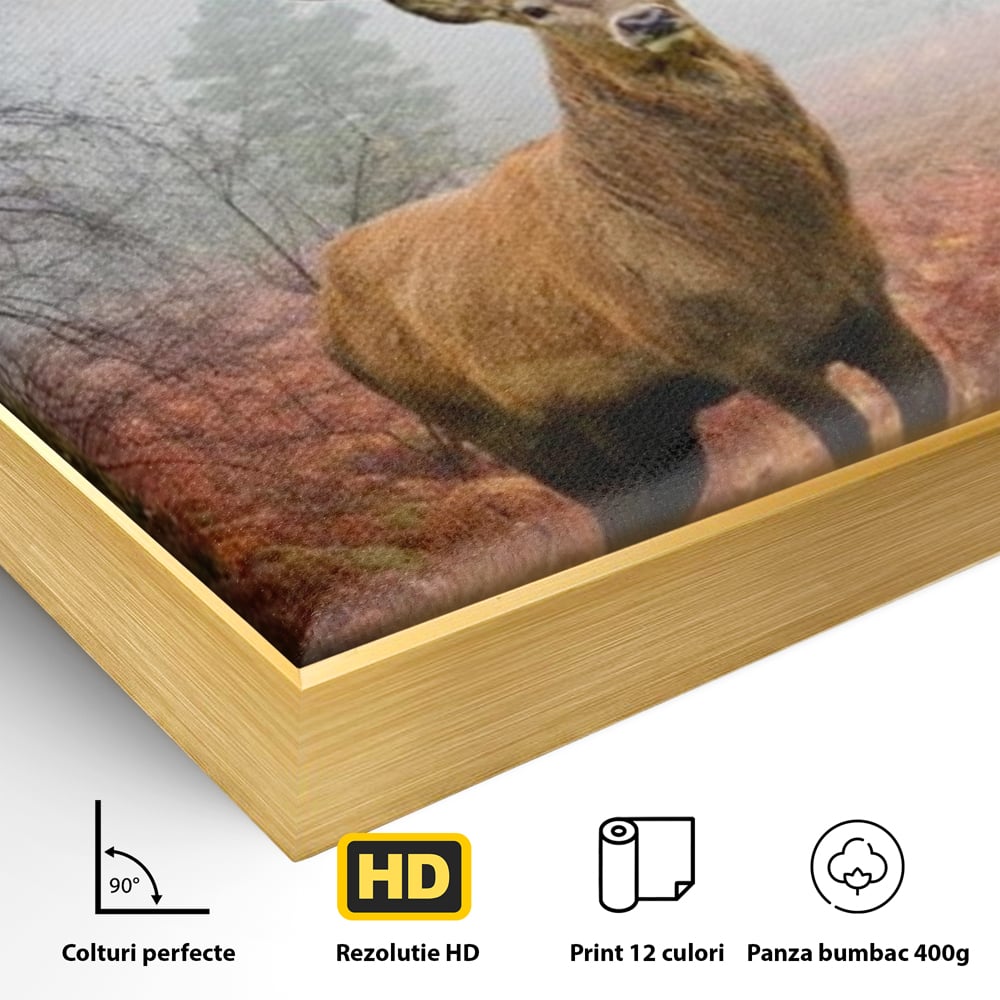 Tablou Canvas Premium, LuxCanva® M1242, Regele Codrilor, Cerb, Animale, Natura, Coarne, Mamifer, Fauna, Salbatic, Padure, Vegetatie, Habitat, Birou, Living, Camera Copil