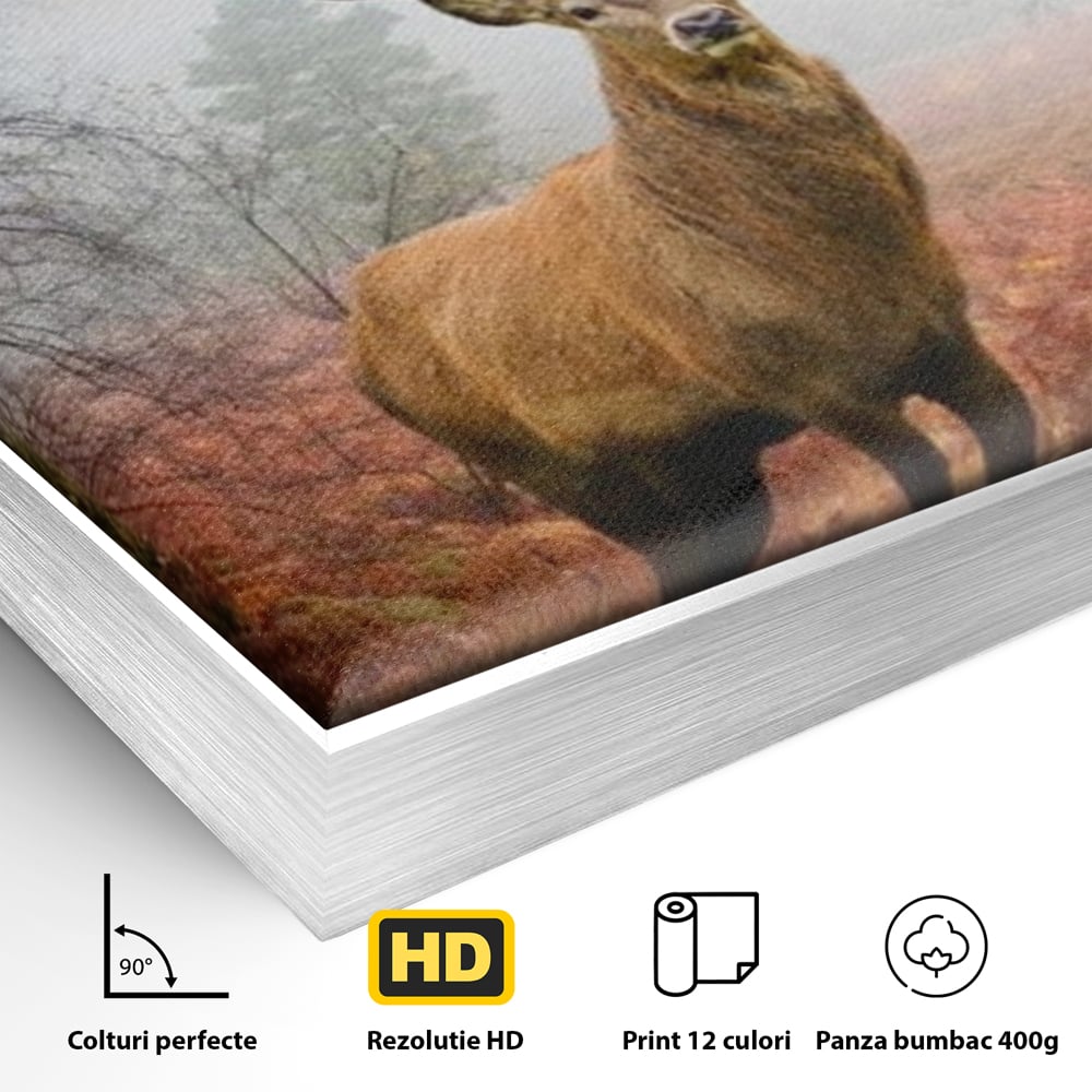 Tablou Canvas Premium, LuxCanva® M1242, Regele Codrilor, Cerb, Animale, Natura, Coarne, Mamifer, Fauna, Salbatic, Padure, Vegetatie, Habitat, Birou, Living, Camera Copil