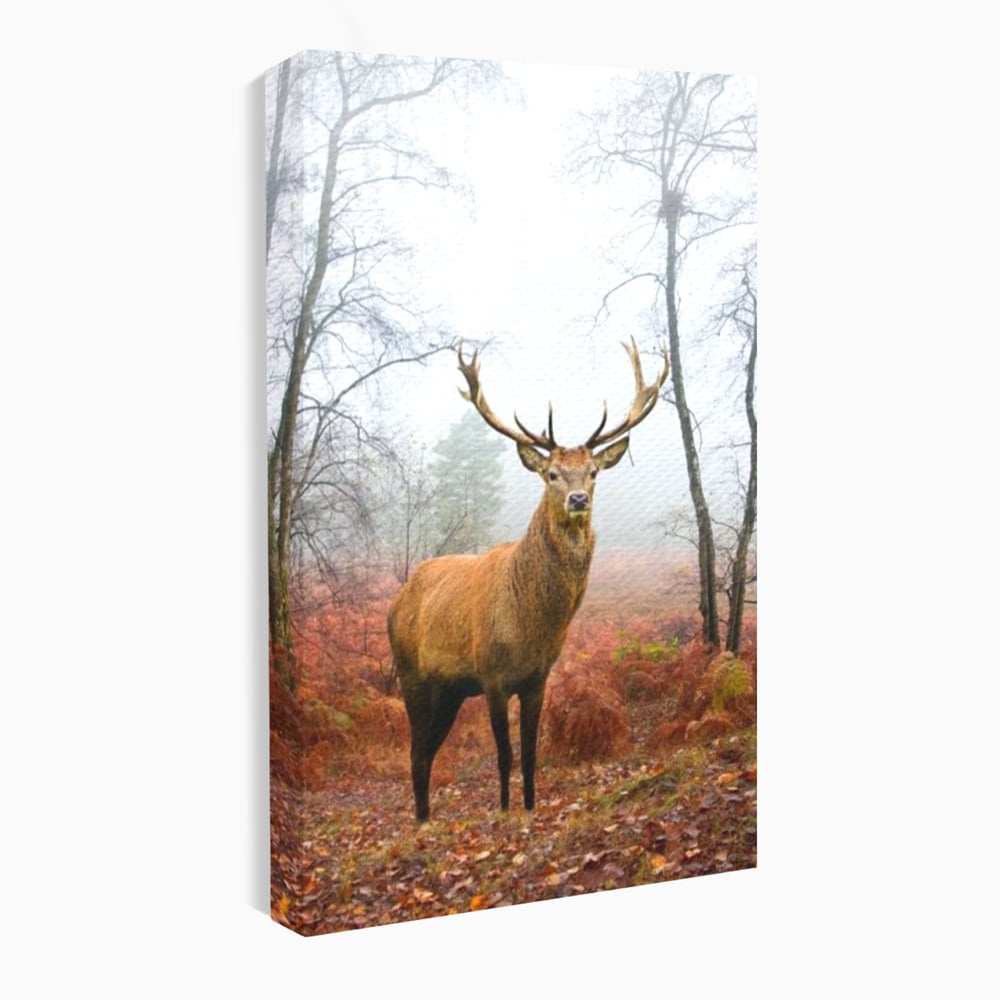 Tablou Canvas Premium, LuxCanva® M1242, Regele Codrilor, Cerb, Animale, Natura, Coarne, Mamifer, Fauna, Salbatic, Padure, Vegetatie, Habitat, Birou, Living, Camera Copil