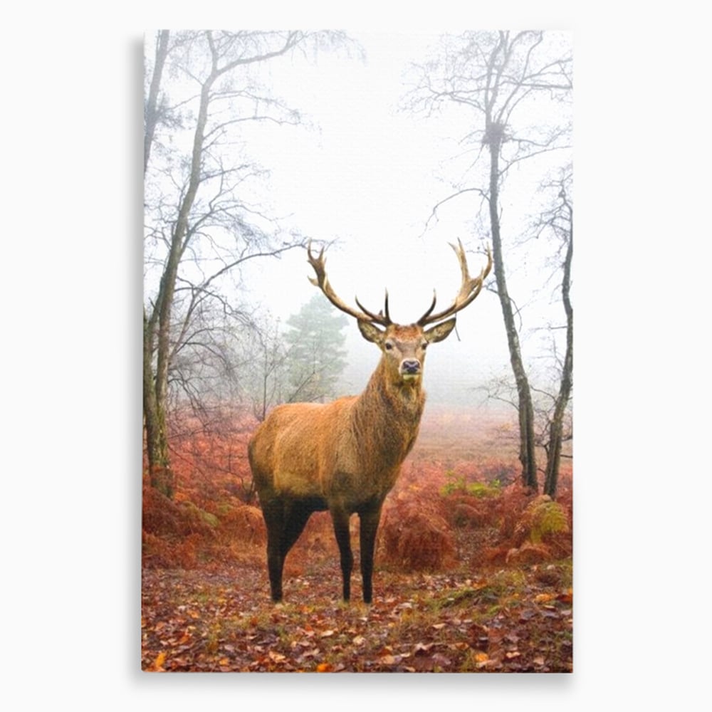 Tablou Canvas Premium, LuxCanva® M1242, Regele Codrilor, Cerb, Animale, Natura, Coarne, Mamifer, Fauna, Salbatic, Padure, Vegetatie, Habitat, Birou, Living, Camera Copil