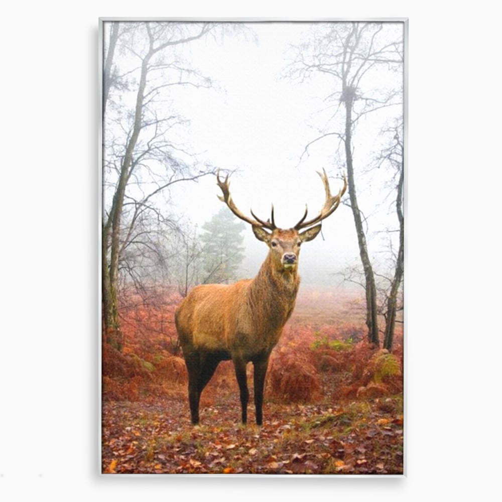 Tablou Canvas Premium, LuxCanva® M1242, Regele Codrilor, Cerb, Animale, Natura, Coarne, Mamifer, Fauna, Salbatic, Padure, Vegetatie, Habitat, Birou, Living, Camera Copil