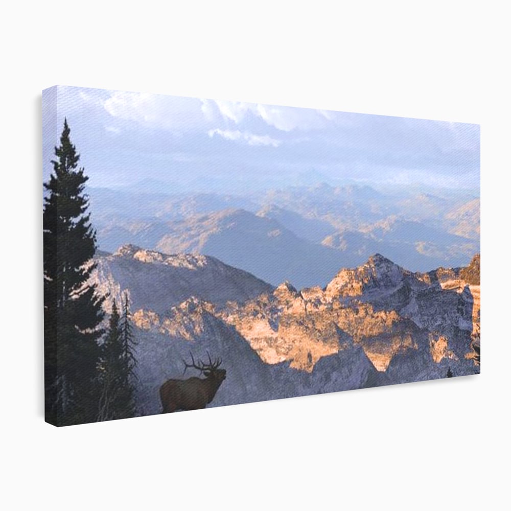 Tablou Canvas Premium, LuxCanva® M1245, Printre Nori si Stanci, Elan, Munti, Peisaj, Copaci, Apus, Natura, Mamifer, Orizont, Solitudine, Cer, Nori, Birou, Living, Camera Copil