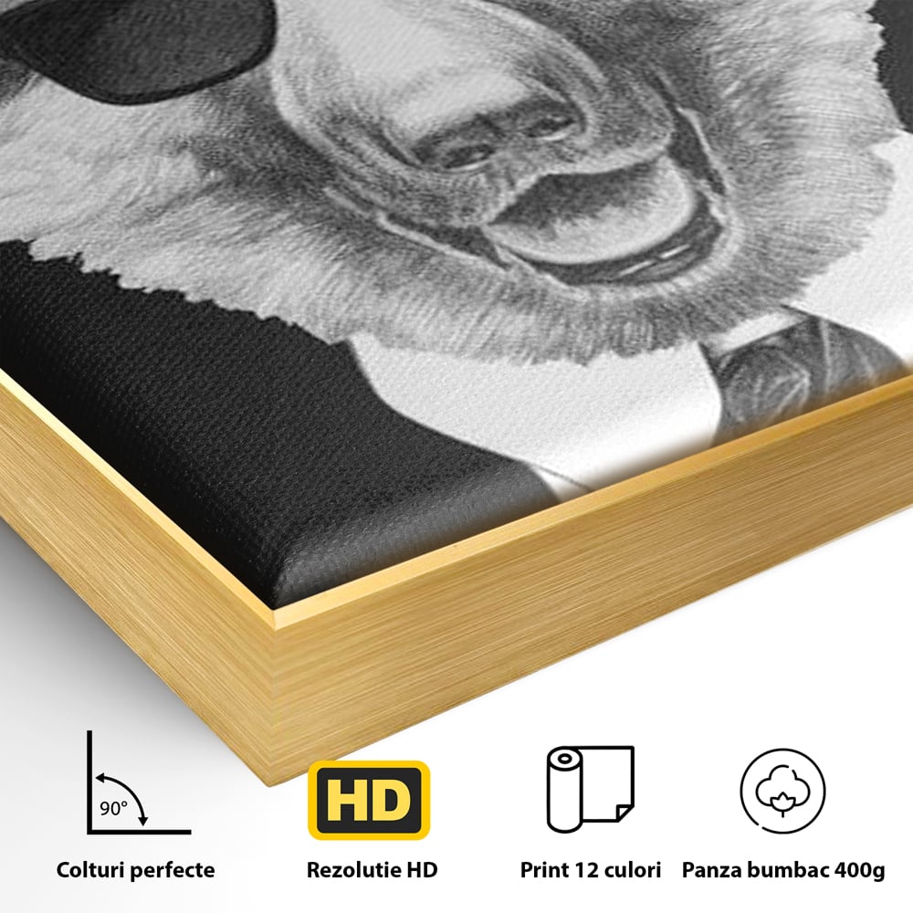 Tablou Canvas Premium, LuxCanva® M1250, Caine de Afaceri, Caine, Costum, Ochelari, Business, Gentleman, Bodyguard, Patruped, Urban, Alb si Negru, Portret, Birou, Living, Camera Copil
