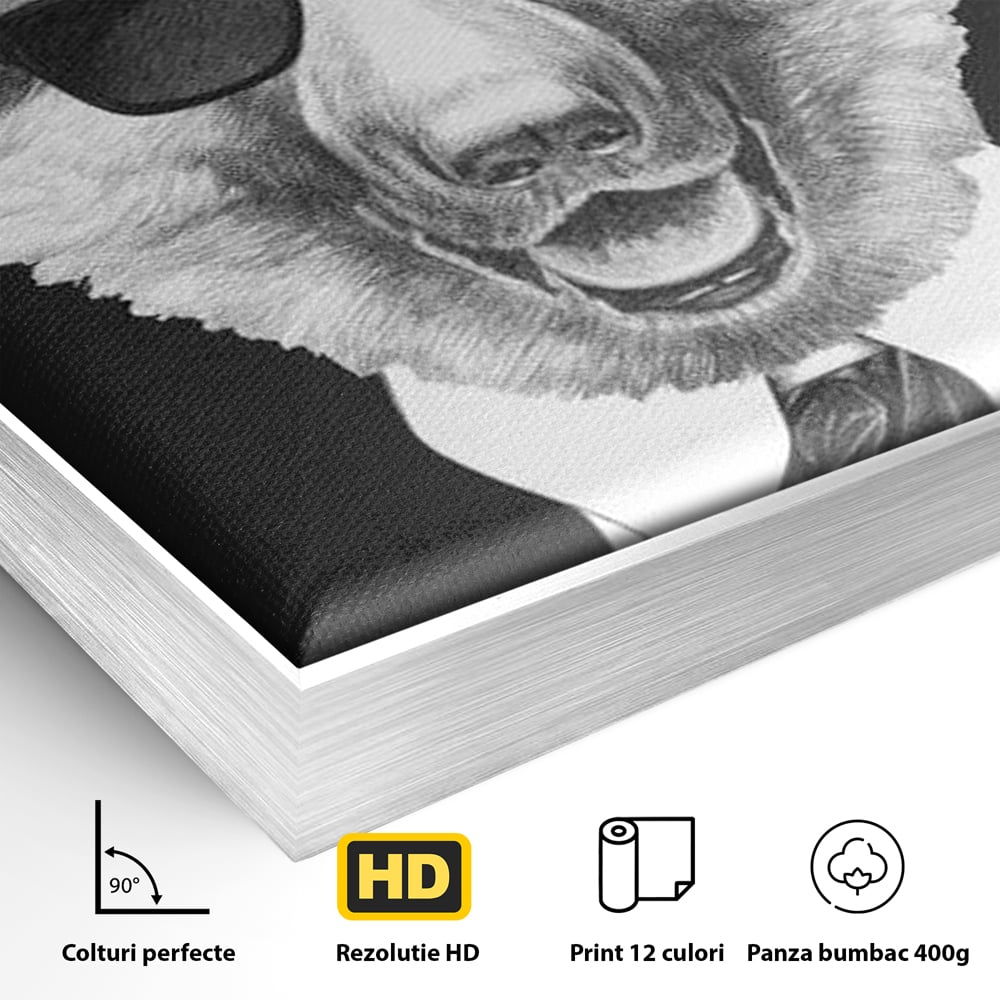 Tablou Canvas Premium, LuxCanva® M1250, Caine de Afaceri, Caine, Costum, Ochelari, Business, Gentleman, Bodyguard, Patruped, Urban, Alb si Negru, Portret, Birou, Living, Camera Copil