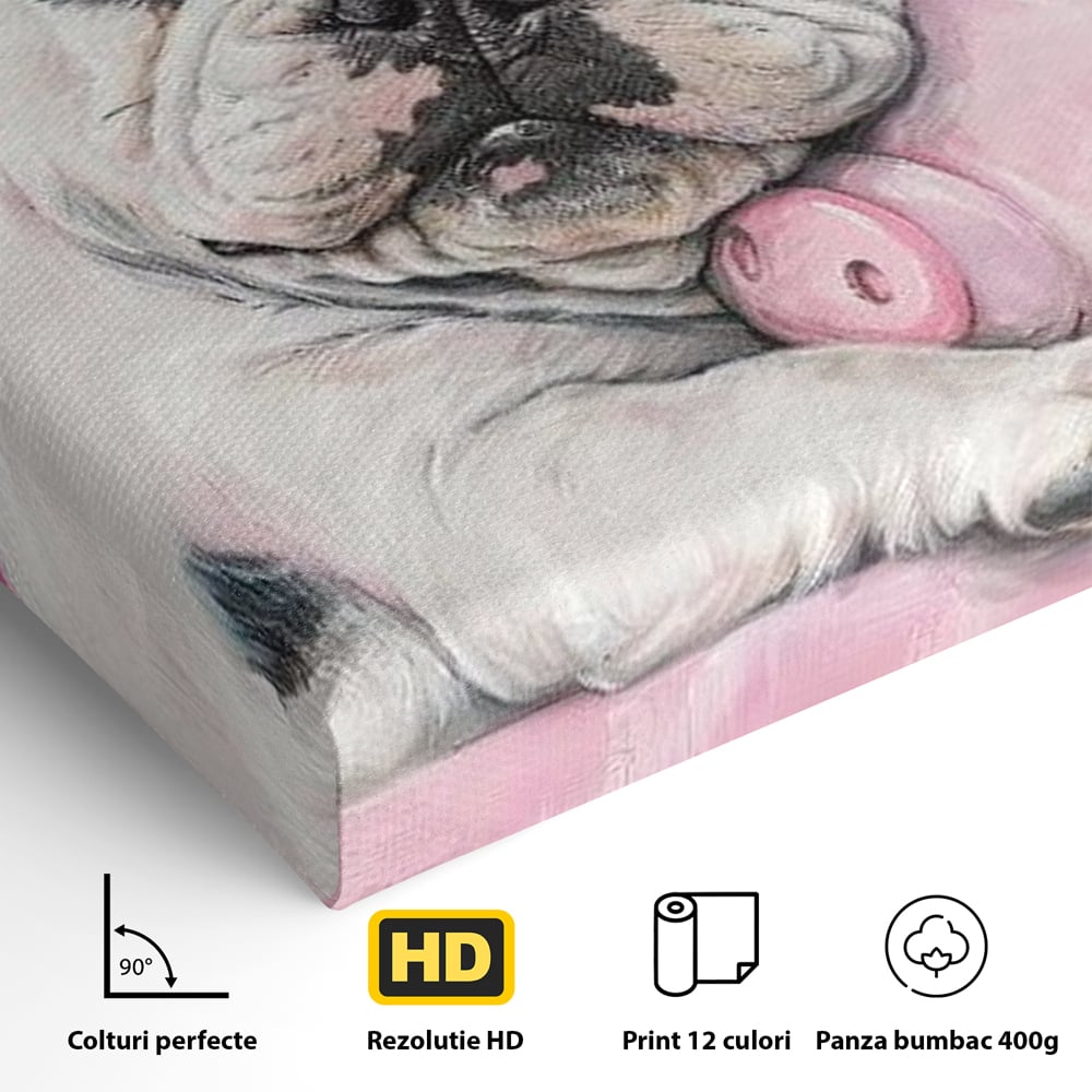 Tablou Canvas Premium, LuxCanva® M1253, Parteneri de Vise, Porcusor, Bulldog, Caine, Pui, Roz, Somn, Vis, Dragalas, Imbratisare, Prieteni, Birou, Living, Camera Copil