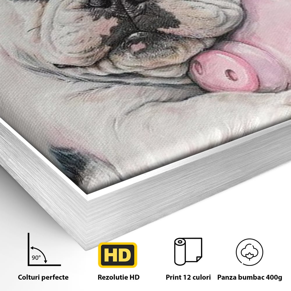 Tablou Canvas Premium, LuxCanva® M1253, Parteneri de Vise, Porcusor, Bulldog, Caine, Pui, Roz, Somn, Vis, Dragalas, Imbratisare, Prieteni, Birou, Living, Camera Copil