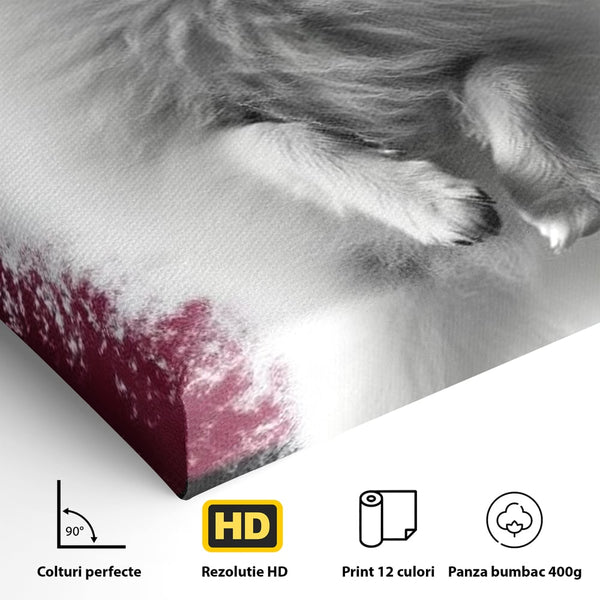 Tablou Canvas Premium, LuxCanva® M1254, Explozie de Puf, Caine, Pomeranian, Pufosenie, Alb, Roz, Explozie, Adorabil, Blanita, Dinamic, Jucaus, Birou, Living, Camera Copil