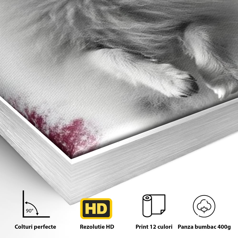 Tablou Canvas Premium, LuxCanva® M1254, Explozie de Puf, Caine, Pomeranian, Pufosenie, Alb, Roz, Explozie, Adorabil, Blanita, Dinamic, Jucaus, Birou, Living, Camera Copil