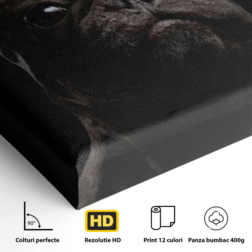 Leinwand Premium Canvas Wandkunst, LuxCanva® M1260, Bulldogge im Schatten, Porträt, Bulldogge, Bulldogge, Hund, Hund, dunkel, kynologisch, Tier, ausdrucksstark, realistisch, Rasse, Büro, Wohnen, Kinderzimmer
