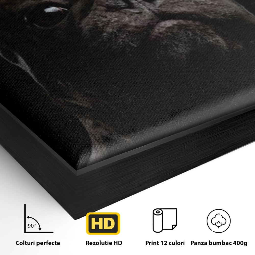 Leinwand Premium Canvas Wandkunst, LuxCanva® M1260, Bulldogge im Schatten, Porträt, Bulldogge, Bulldogge, Hund, Hund, dunkel, kynologisch, Tier, ausdrucksstark, realistisch, Rasse, Büro, Wohnen, Kinderzimmer
