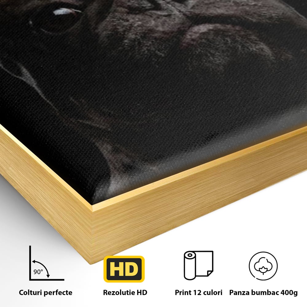 Leinwand Premium Canvas Wandkunst, LuxCanva® M1260, Bulldogge im Schatten, Porträt, Bulldogge, Bulldogge, Hund, Hund, dunkel, kynologisch, Tier, ausdrucksstark, realistisch, Rasse, Büro, Wohnen, Kinderzimmer